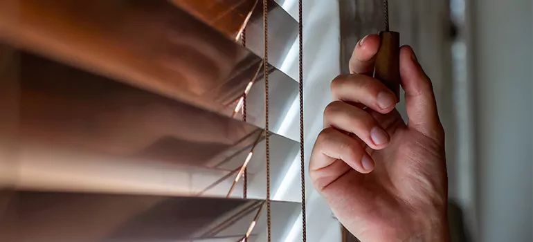 Double Roller Blinds in Pompano Beach, FL